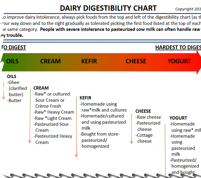 Which Dairy Products Are Easiest To Digest For Lactose And Casein Intolerance Food For Kids