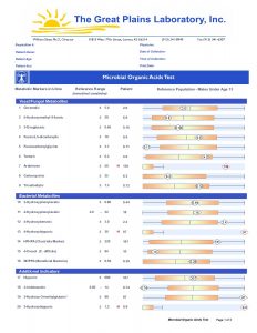 Sample Organic Acid Lab Test